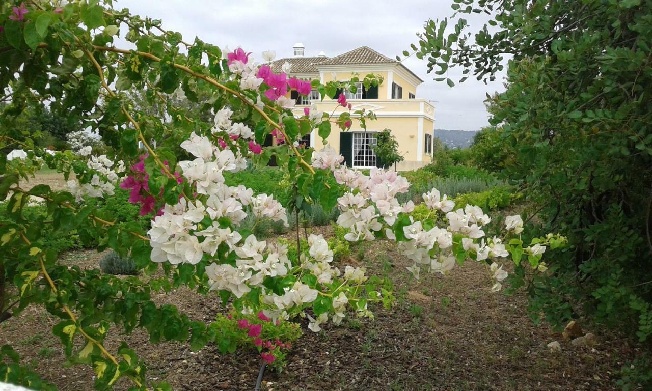 Casa Dos Ventos Bed & Breakfast โอลเญา ภายนอก รูปภาพ